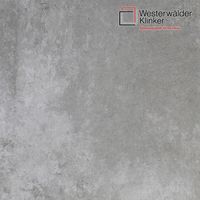 Клинкерные ступени и плитка WesterWalder WKS31110 в Саратове